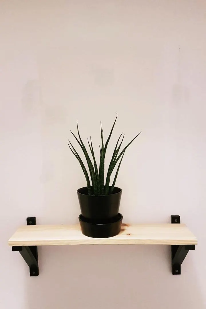 Warsaw Downtown Hostel Polonia